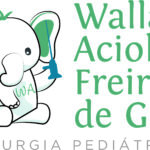 logo WallaceGois