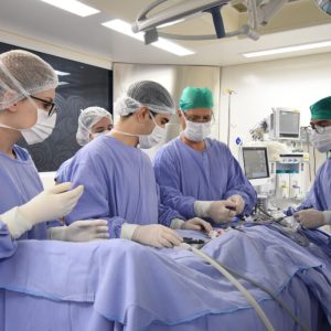 servicos_especialidades_cirurgicas_cirurgia_pediatrica-3-1024x683
